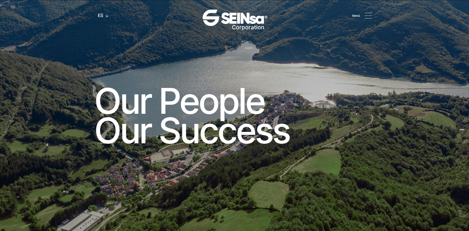 Seinsa web